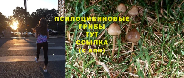 кристаллы Белоозёрский