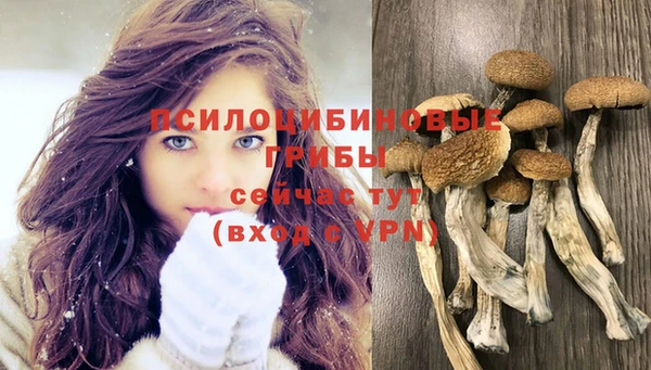 соль курить ск Беломорск